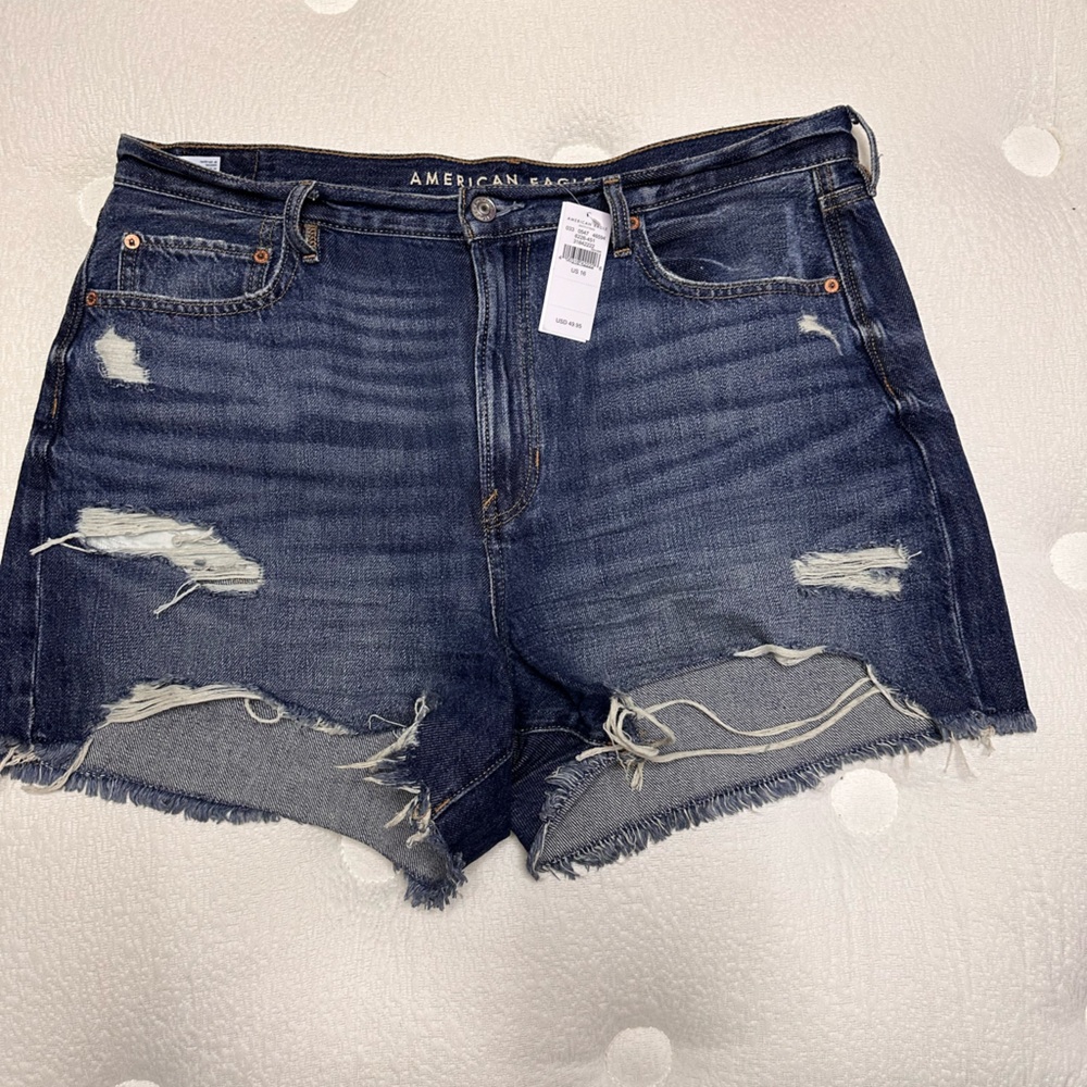 American Eagle Outfitters Dark Wash Distressed Jean Shorts